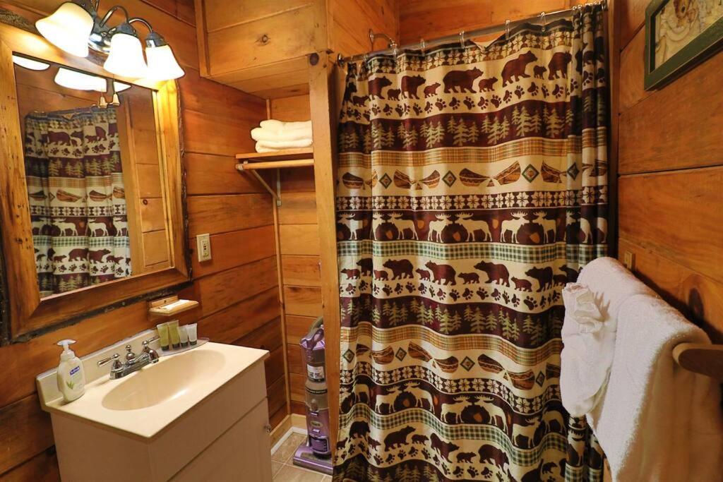 Alpine Mountain Sweetheart Cabin Jacuzzi #6 Helen Exteriör bild